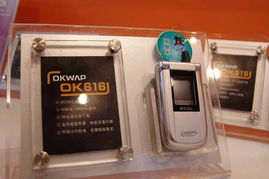 2005年中国国际通信设备技术展 8号馆Okiwap产品秀图片回顾